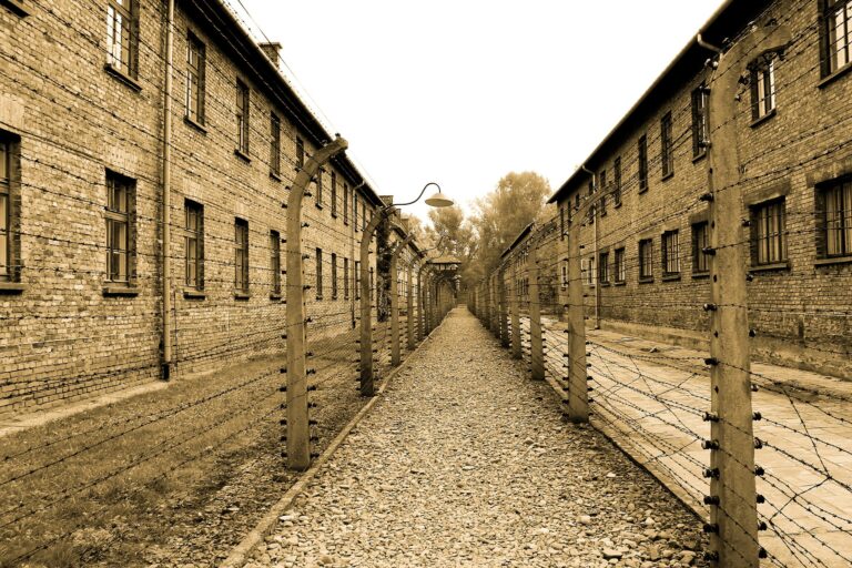 auschwitz-385639_1920